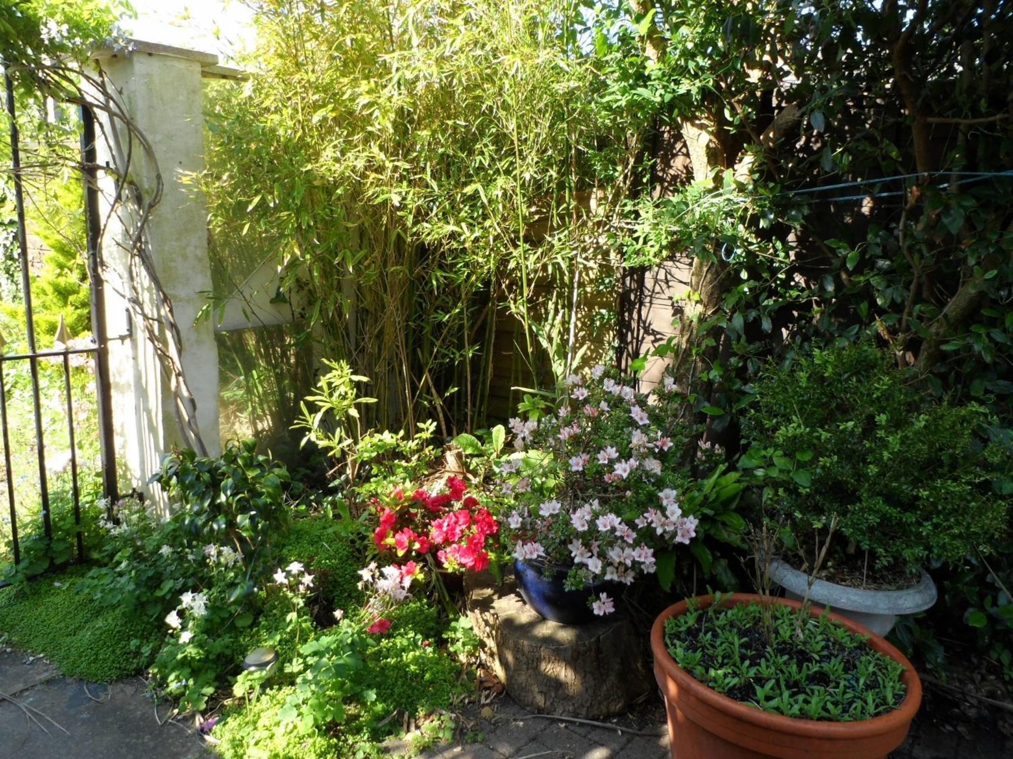 Galway Guest House Уеймут Екстериор снимка