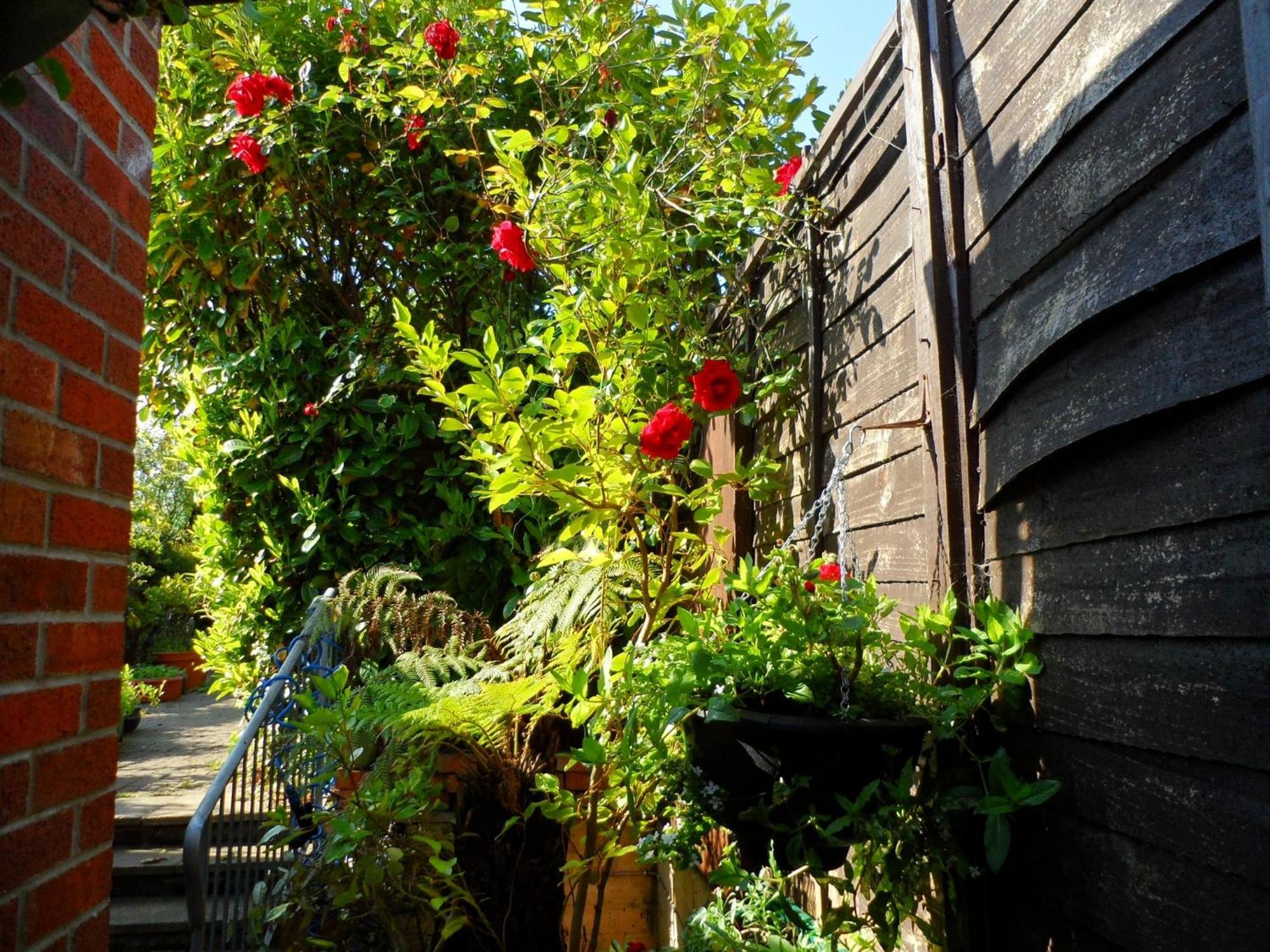 Galway Guest House Уеймут Екстериор снимка